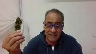 CONTINUACION DE LA PEREZA