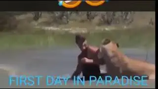 First day in paradise