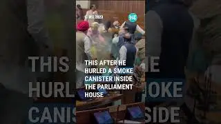 Parliament Breach: Lok Sabha MPs Thrash Intruder | Watch