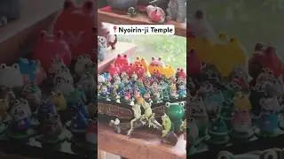 The Temple of 10,000 Frogs