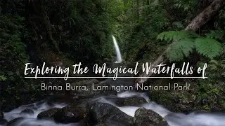 Binna Burra&rsquo;s most Stunning Waterfalls | Gold Coast Australia 🇦🇺
