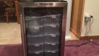 Making a Reptile or Snake Egg Incubator