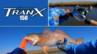 Shimano Tranx 150 vs Redfish