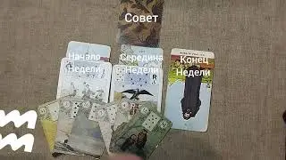 ВОДОЛЕЙ ♒ Таро-прогноз на неделю с 22 по 28 декабря 