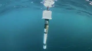 Copernicus Marine  Service