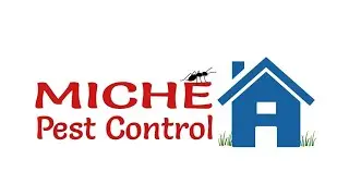 Introduction to Miche Pest Control With Tom Miche (President)