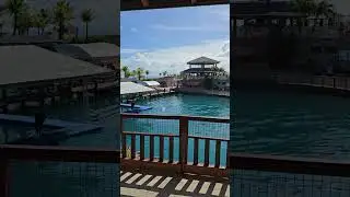 These Dolphins are moving like a bullet train | Prince Cruise Line | Star Princess Review 2026