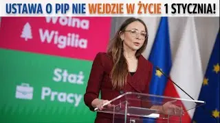 Agnieszka Dziemianowicz-Bąk o Państwowej Inspekcji Pracy