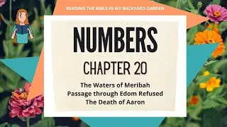 Numbers Chapter 20 | NRSV Bible - Read Aloud