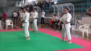 Dimostrazione di karate in 
