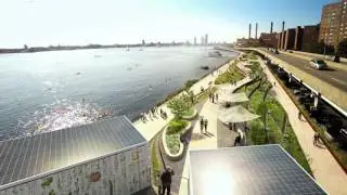 C40 Inclusive Cities - New York City
