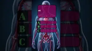 human body quiz #quiztime #iq #quiz #quizshow#facts about human body #viralvideo