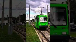 Учебный трамвайчик ПС39А1 № 8335. #пс39а1 #трамвай #love #транспорт #спб #tram #8335 #transport