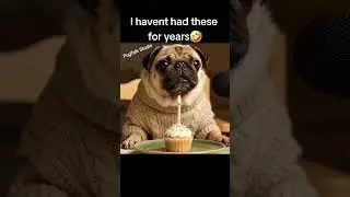 Pug tries Chicken Nuggets!🦕 #shorts