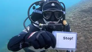 Tauchzeichen f&uuml;r Anf&auml;nger | Lerne f&uuml;r den CMAS 1* / VDST German Diver Licence GDL*
