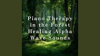 Gentle Pathways of Tranquility