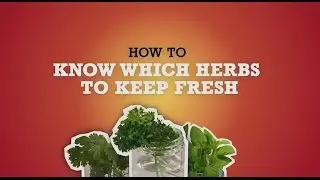 Chef Saad Tip 3: Dried vs. Fresh Herbs Presented by BUSH&rsquo;S&reg; Beans