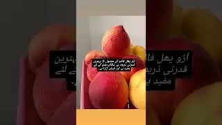 #Peach fruit for diabetic patients#Peach fruit health benefits#For You, Youtube