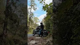 Bike Sound in nature #pantera #rider #mexico #bike #harleydavidson #ride #wildlife #chopper