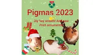 Pigmas vlog 1. Diy hay wreaths and paw print ornaments!