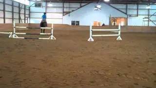 Nala, OTTB jumper mare