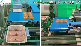 【すくってみたシリーズ】ワーク整列移載装置