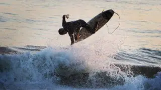LA MEILLEURE SEMAINE DE SURF | 2 SESSIONS POUR VOUS ! 🏄🏻‍♂️