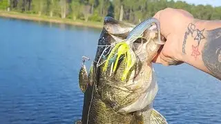 Fishing with the buddy enjoying life #nature #wildlife #fishing #Florida##satisfying #goodvibes#life