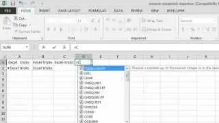 Remove Unwanted Characters in MS Excel
