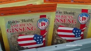 Rooted in Wausau - International Wisconsin Ginseng Festival