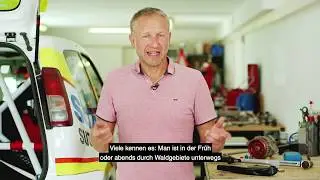 Wildunfall: Was ist zu tun? - Expertentipp