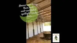 Horse Barn Glow Up