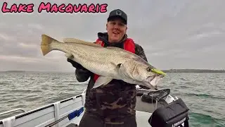 Lake Macquarie fishing - back on the water chasing jewfish/mulloway.