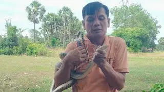 Best Video Shorts Creative Snake Trap #snake #snaketrap 