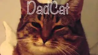 DadCat