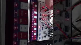 Korg Volca Modular Patch Jag 2_2  KingCup |🎶🔌🎹 |  #synthesizer #electronicmusic #dawless