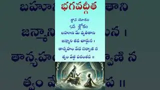 భగవద్గీత 4వ అధ్యాయం జ్ఞాన యోగం ఆరవ శ్లోకం#telugu#peace #bhagavadgita#shortsfeed #pyramid#meditation