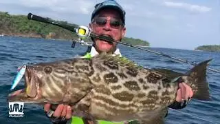 Bass Rodding for Big Grouper!