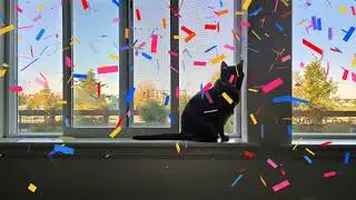 Hazel's Anniversary 🎉