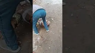 Hardwork #labour #effort #power #job #work #trending #viral #trend #bihar #shorts #short #vlog
