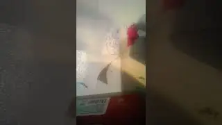 рисунок+история #kidsdisco #funny #pokemon #disconight #dog #toywatch #effect #diy #flipaclip