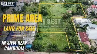 Land for Sale in Siem Reap &ndash; Big Plot, Prime Location, Perfect for Commercial Use & Investment