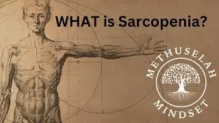 Sarcopenia Explained