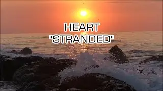 Heart - 