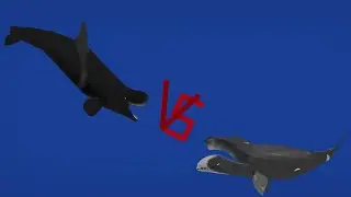 DCBA: Livyatan VS Bowhead whale