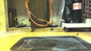 300mg , 0.3g Of Silver Acetylide Vs Top of Tin Can