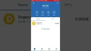 How to connect your Dogecoin WALLET to DOGEDAY Mining site