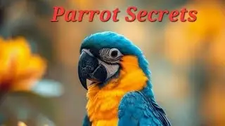 &ldquo;10 Amazing Parrot Secrets You Never Knew | Heartwarming Jungle Story&rdquo; #trending #aisongs #pets