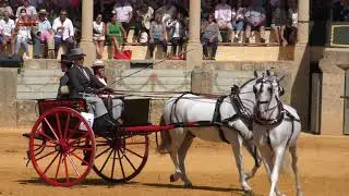 Tándem. 4K. Exhibición de Enganches. Ronda 2017