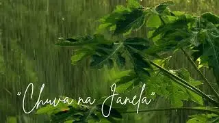 Artmusicia &ndash; M&uacute;sica Autoral Sem Fronteiras